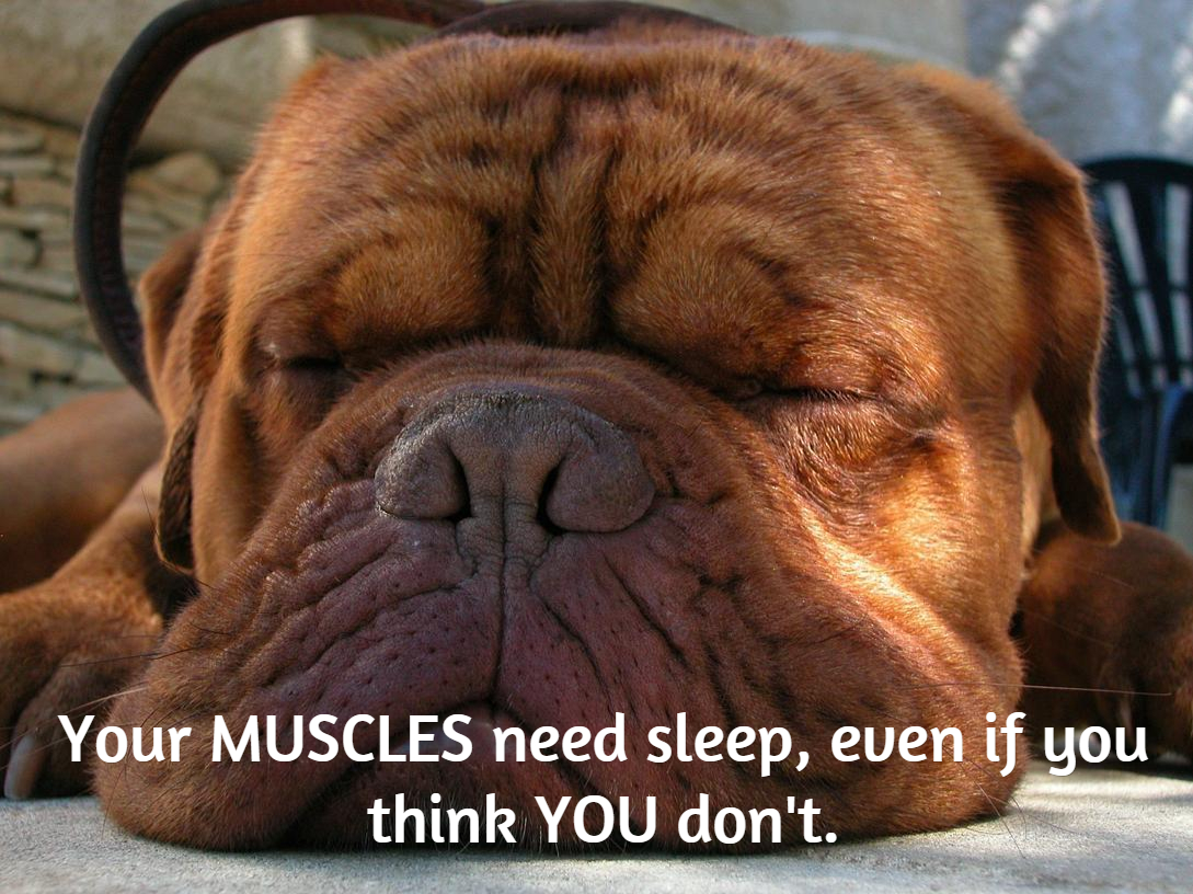 Muscles good night's sleep